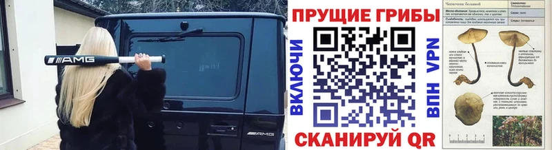 Псилоцибиновые грибы GOLDEN TEACHER Сатка